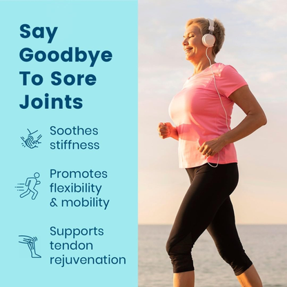 BB Company Provitalize Probiotic Supplement for Menopause Weight, Gut Health & Joint Support – 60 Capsules