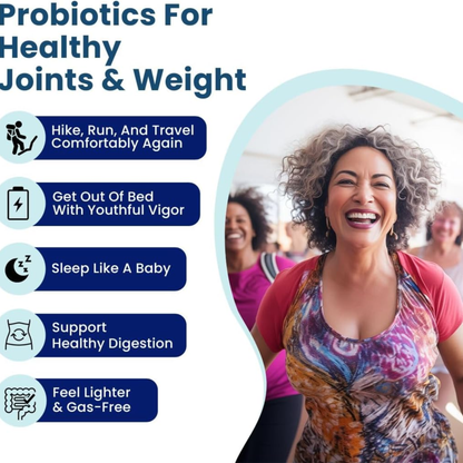 BB Company Provitalize Probiotic Supplement for Menopause Weight, Gut Health & Joint Support – 60 Capsules
