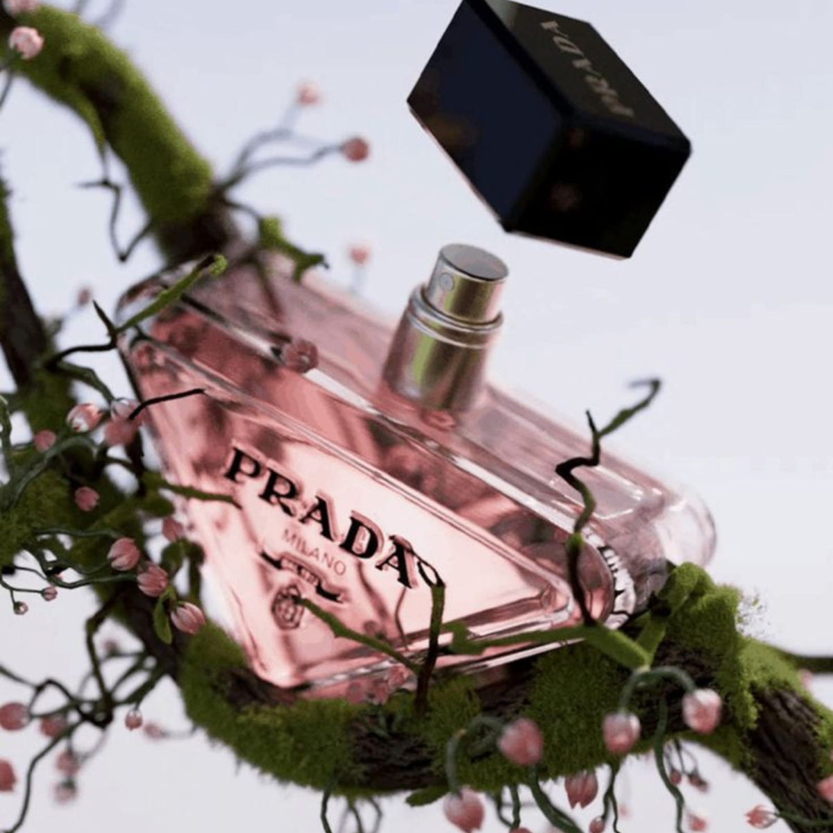 Prada Paradoxe EDP, 3 oz / 90 mL